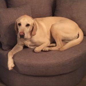 Meet your Posher, Seth